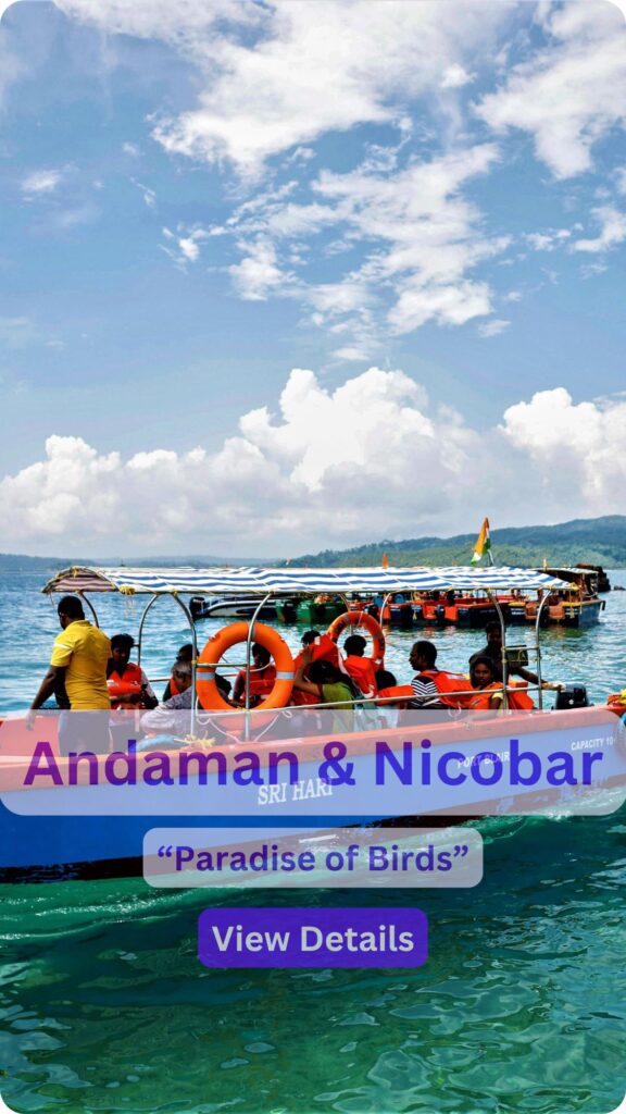 A Beach in Andaman Island